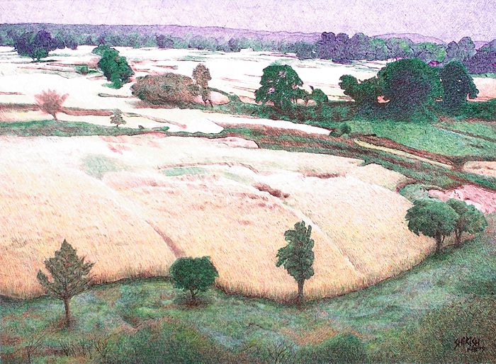Fieldscape